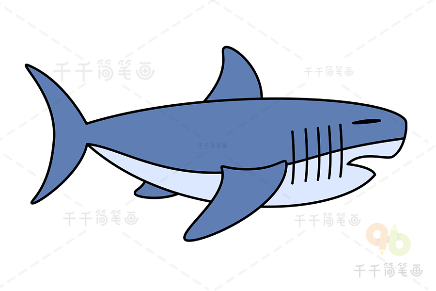 巨齿鲨的简笔画 简单图片