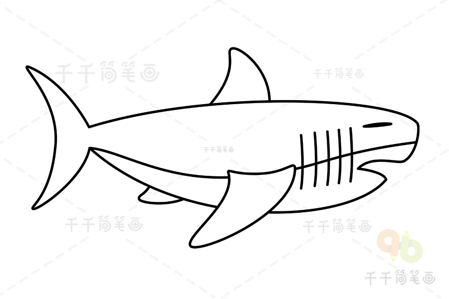 画巨齿鲨 可怕 简笔画图片