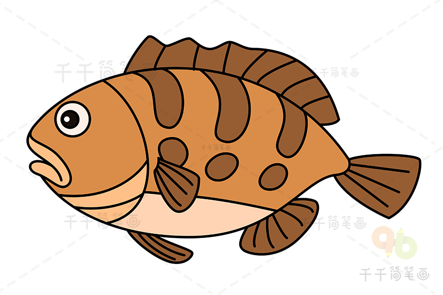 石斑鱼简笔画