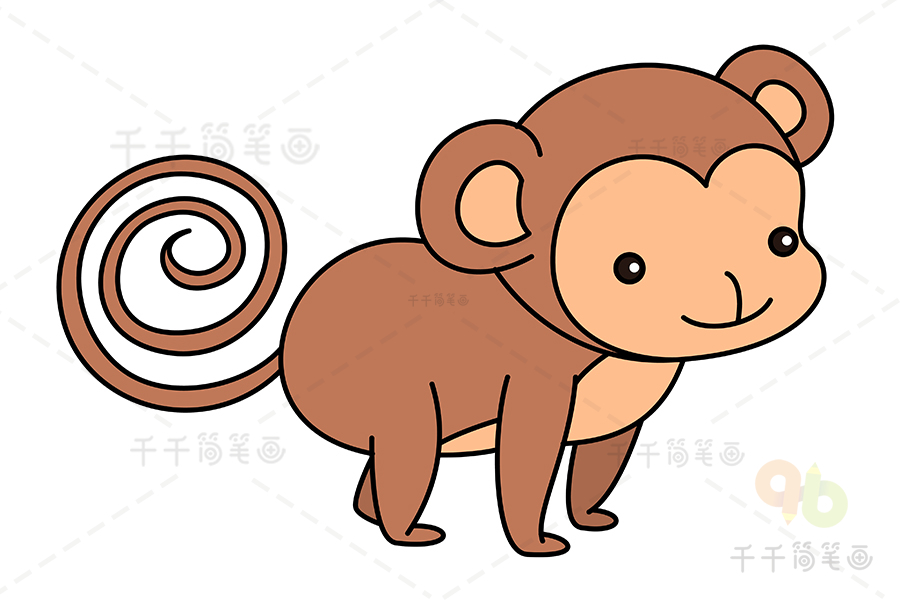 巴西卷尾猴简笔画