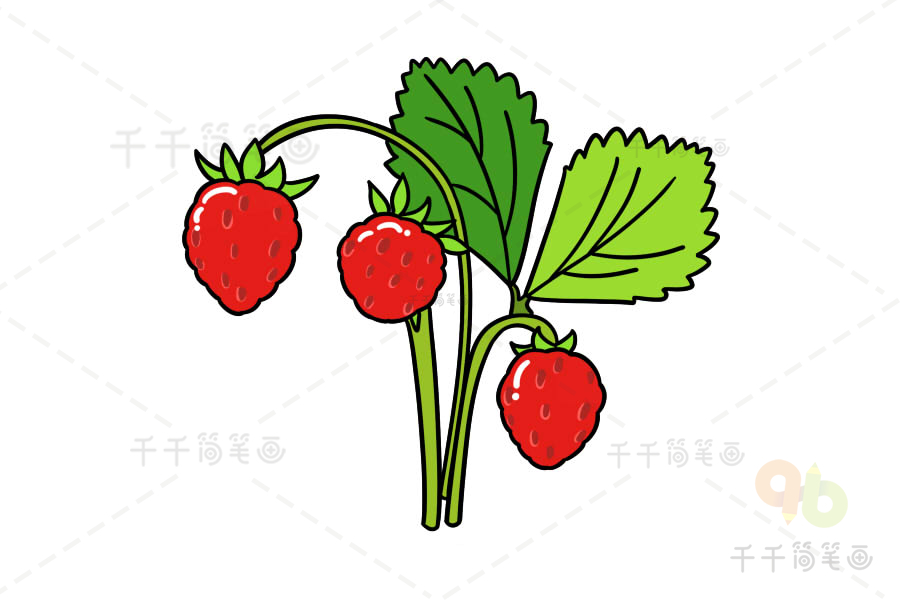 野草莓简笔画图片