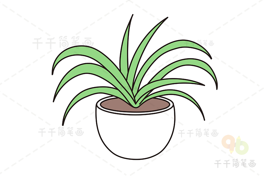 温带植物简笔画图片