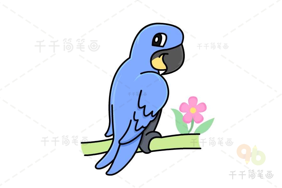 蓝色金刚鹦鹉简笔画图片