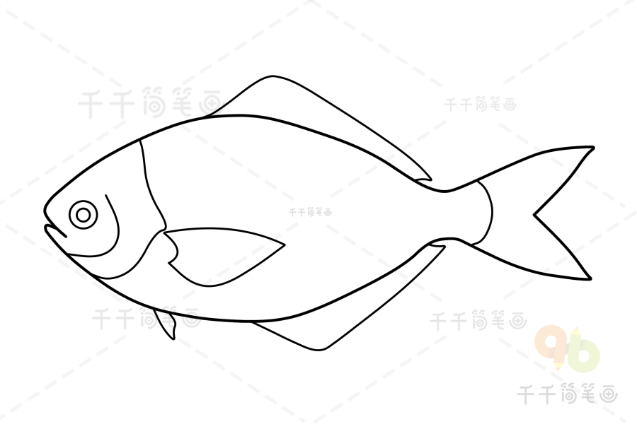 刺鲳简笔画