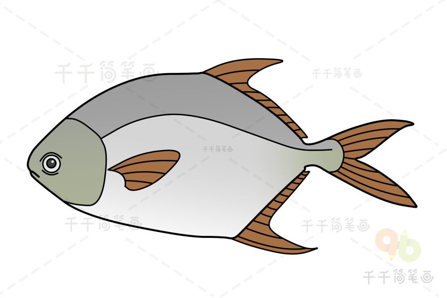 鲳鱼简笔画彩色图片