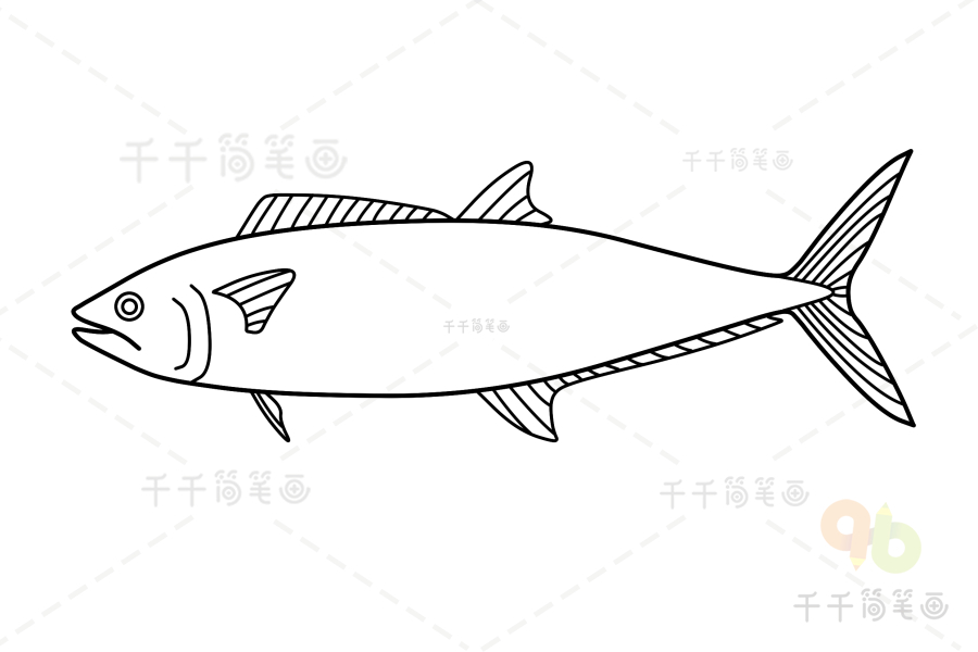 马林鱼的画法图片