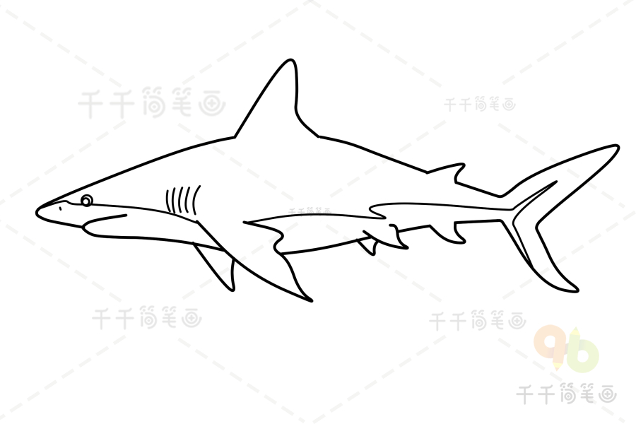 柠檬鲨简笔画可爱图片