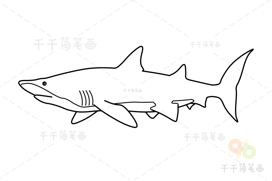 毒鲨简笔画图片