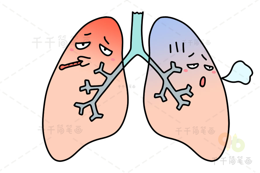 肺简笔画 彩色图片