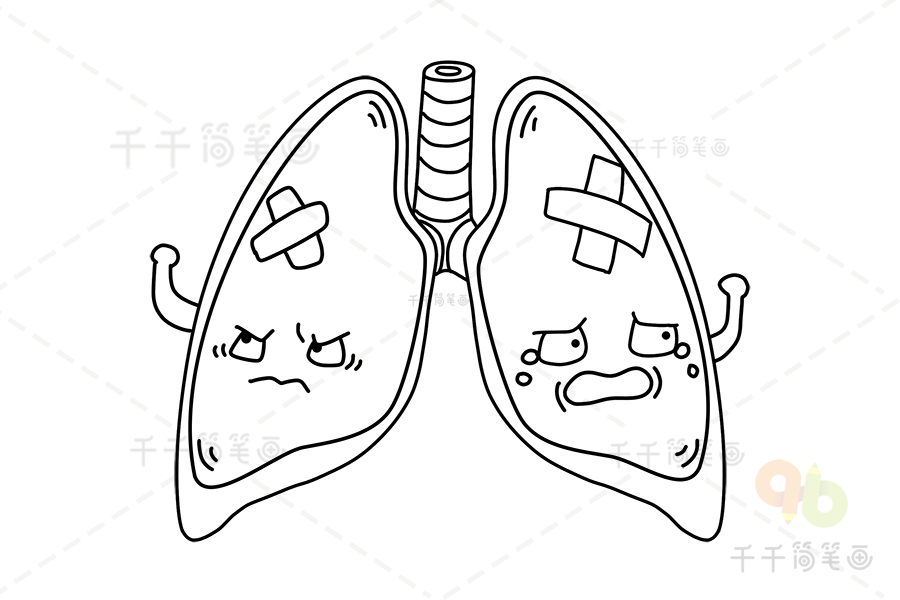 肺结核的肺怎么画图片