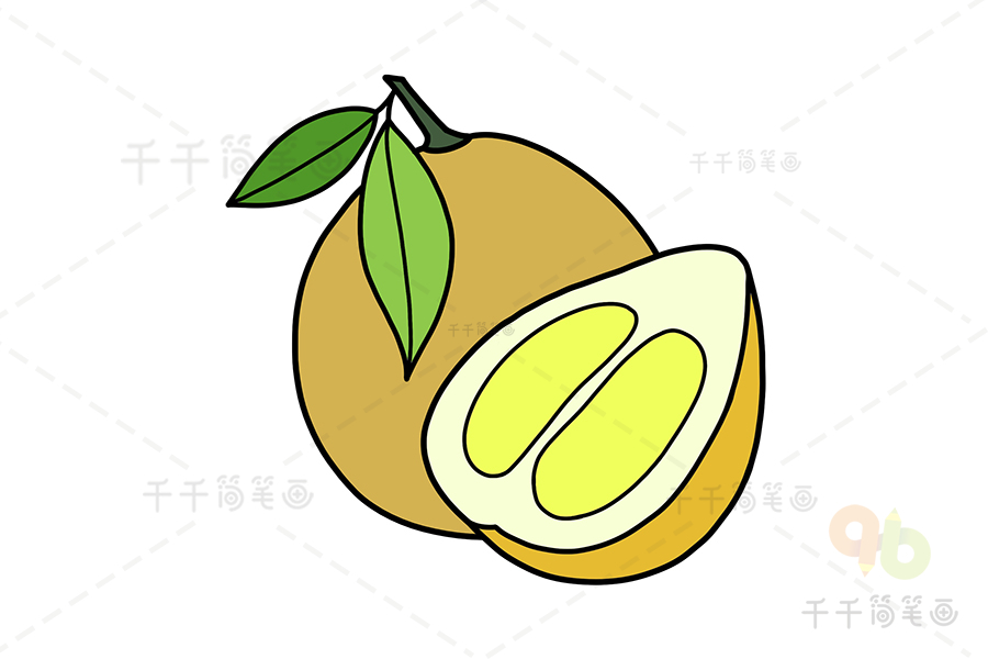 柚子怎么画简单图片