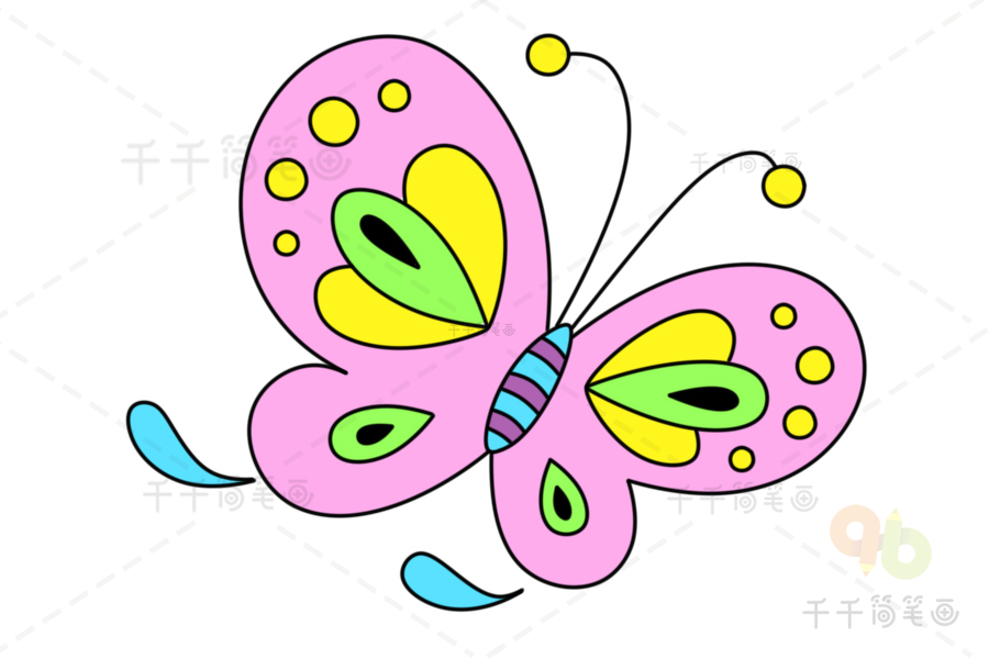 蝴蝶简笔画 漂亮 上色图片