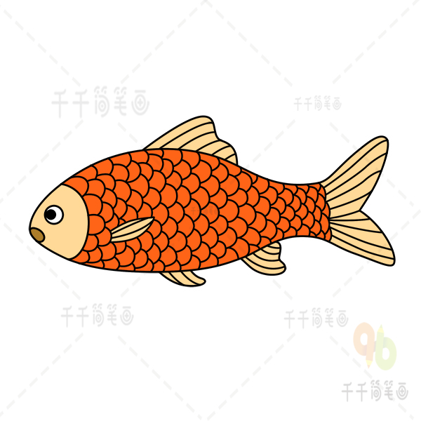 鱼的画法 简化图片