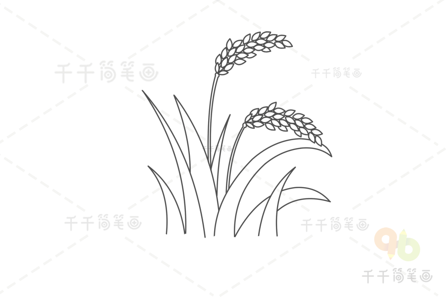 水稻简笔画秧苗图片