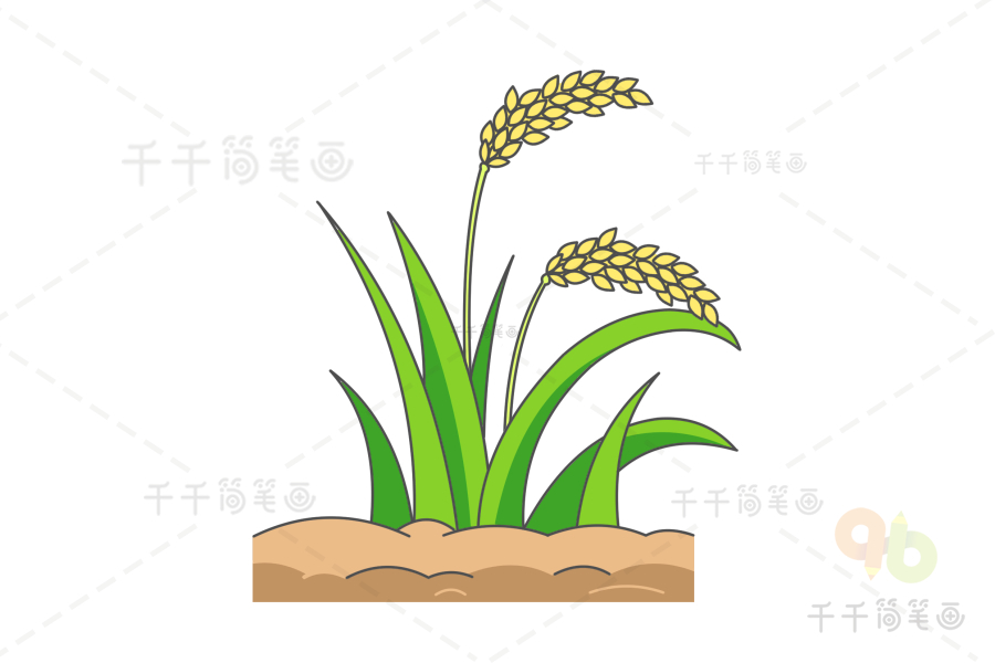 杂交水稻简笔画图片图片
