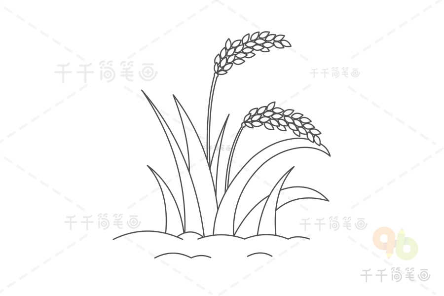春天的稻子简笔画图片