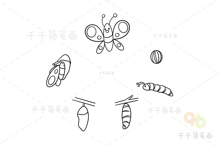 第二步:接着画出蝴蝶的卵期和幼虫期的轮廓第一步:画出蝴蝶的线条