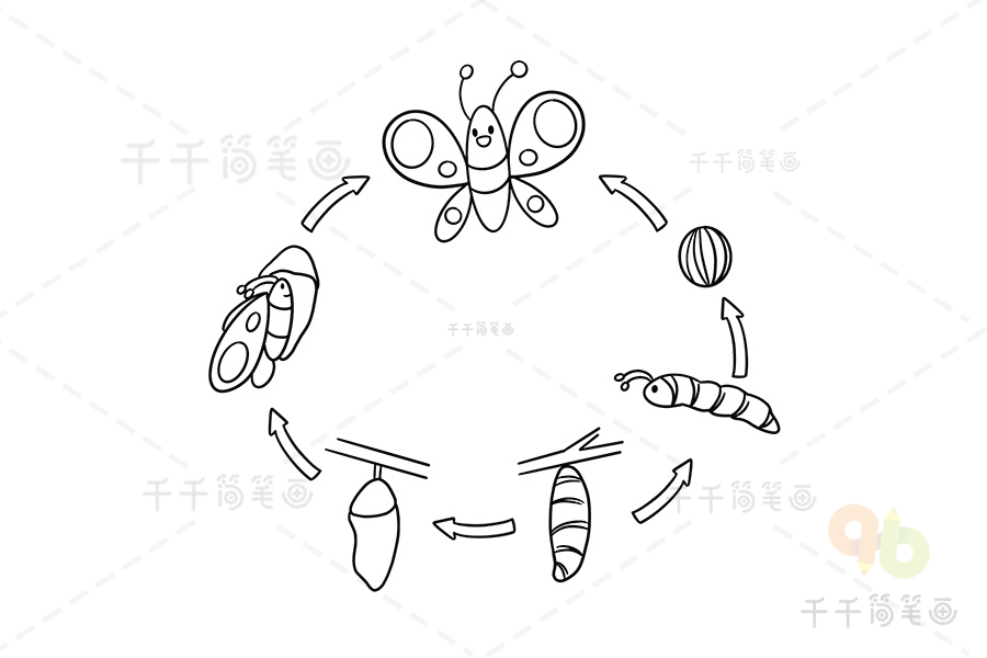 蚊子蛹的简笔画图片