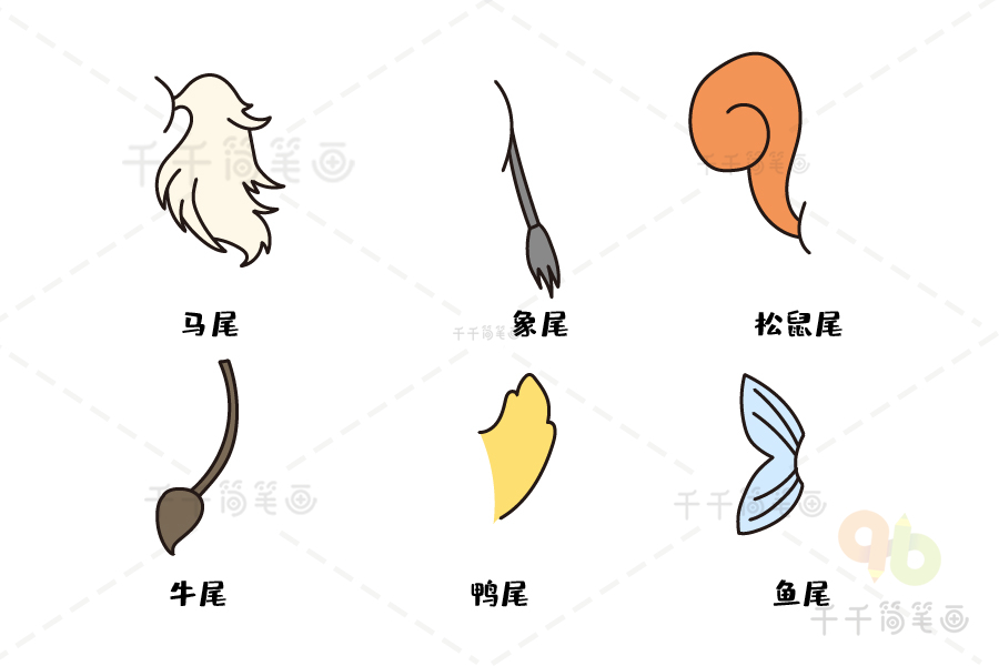 各种动物尾巴的画法图片