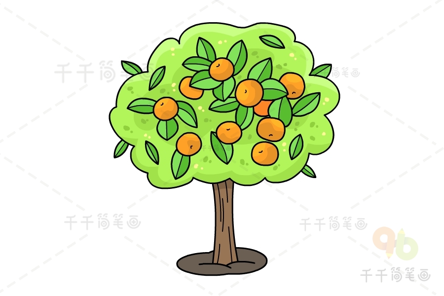 橙子树简笔画步骤图