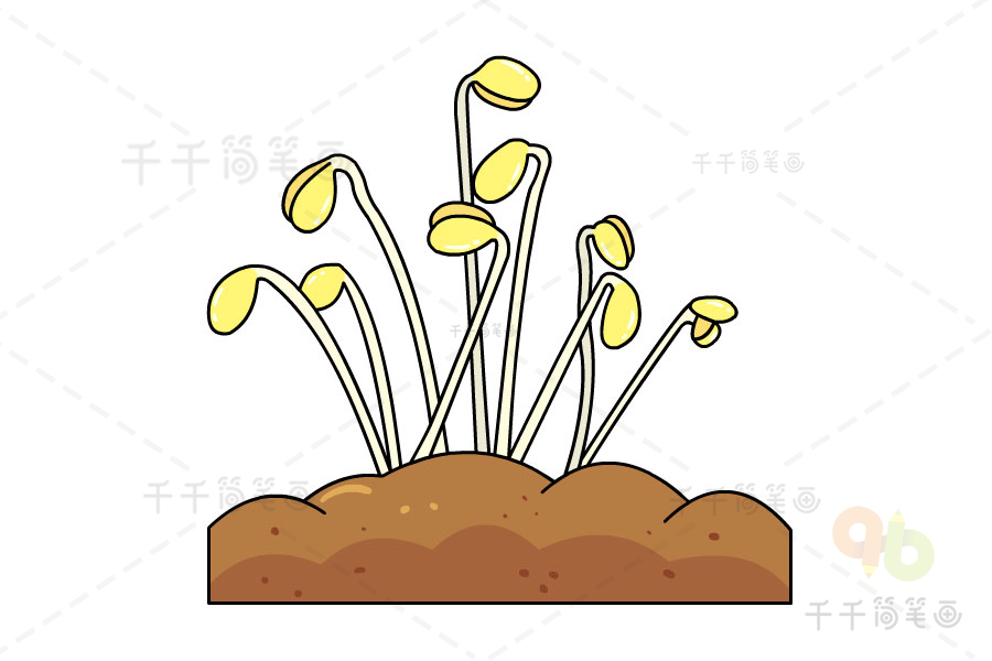 豆芽简笔画盆栽图片