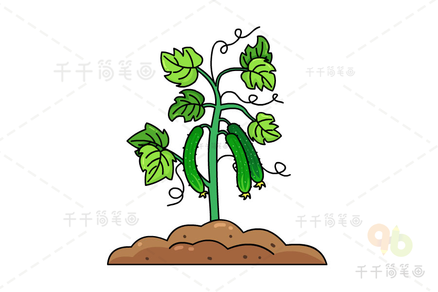 黄瓜种植方法简笔画图片