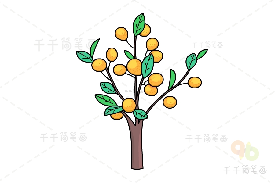 小金桔树的简笔画图片