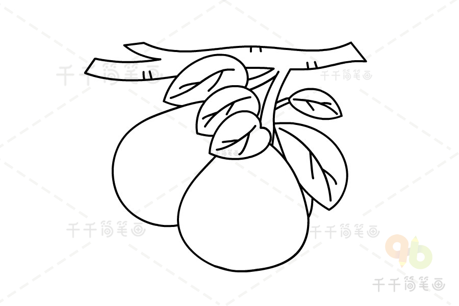 柚子简笔画画法