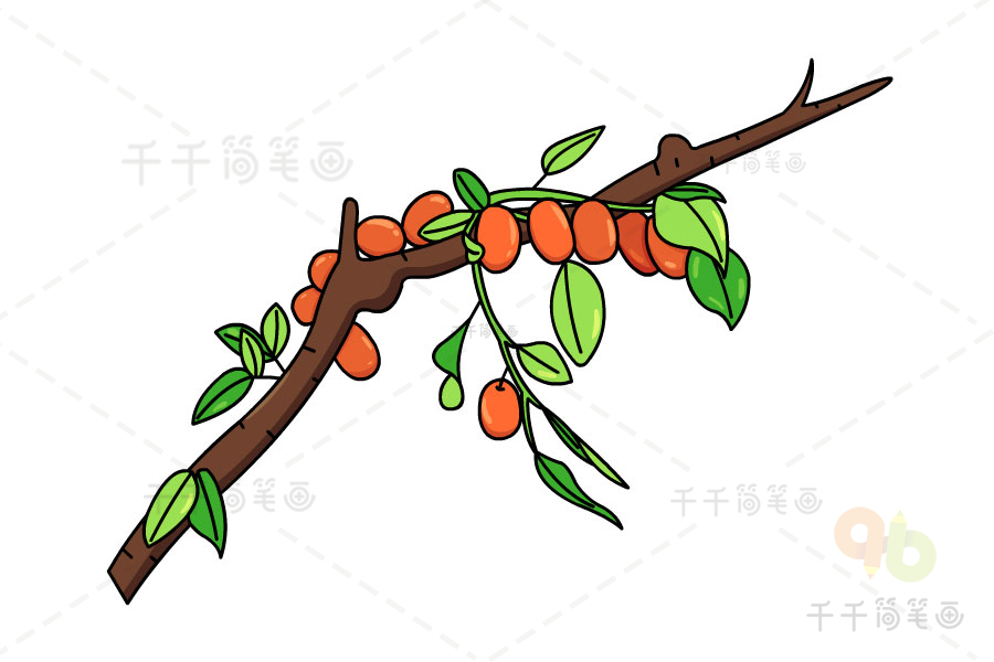 枣树简笔画 简单图片