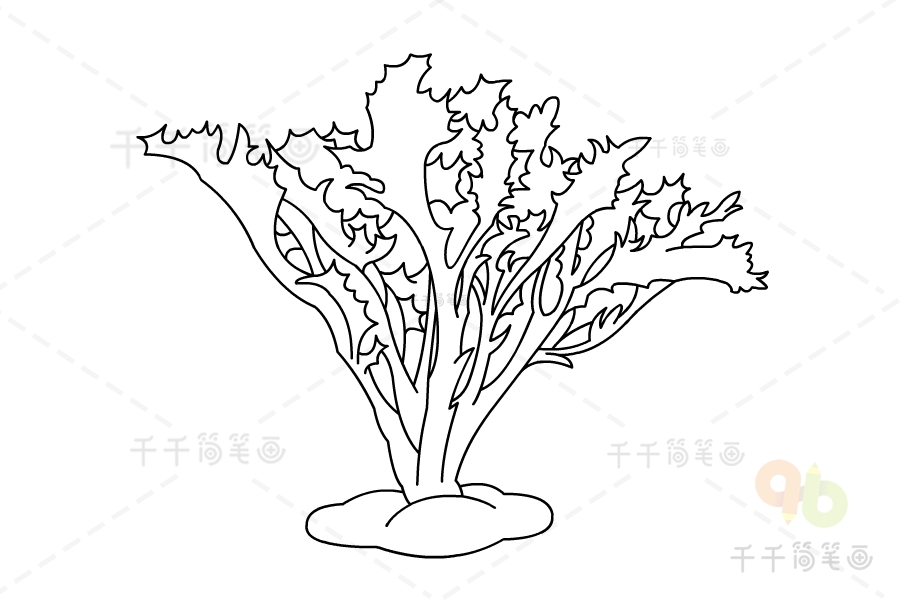 苦苣菜简笔画图片