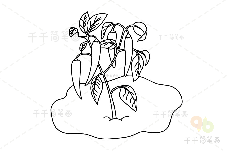 儿童辣椒树简笔画图片