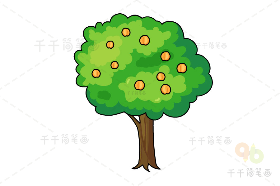 杏树的简单画法图片