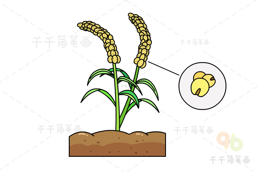 农作物简笔画 简单图片