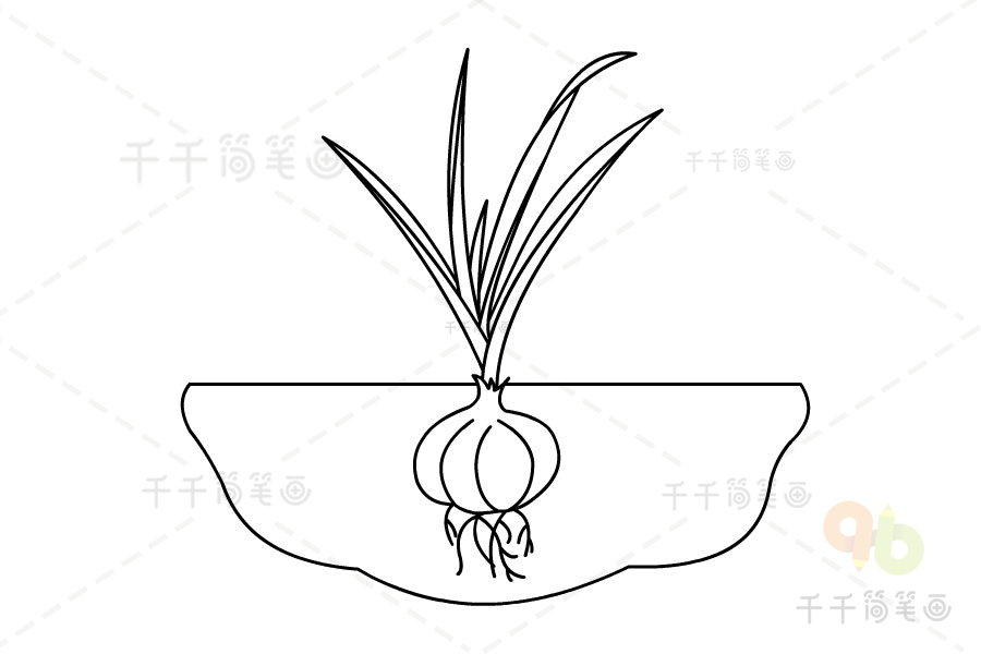 花盆里的大蒜简笔画图片