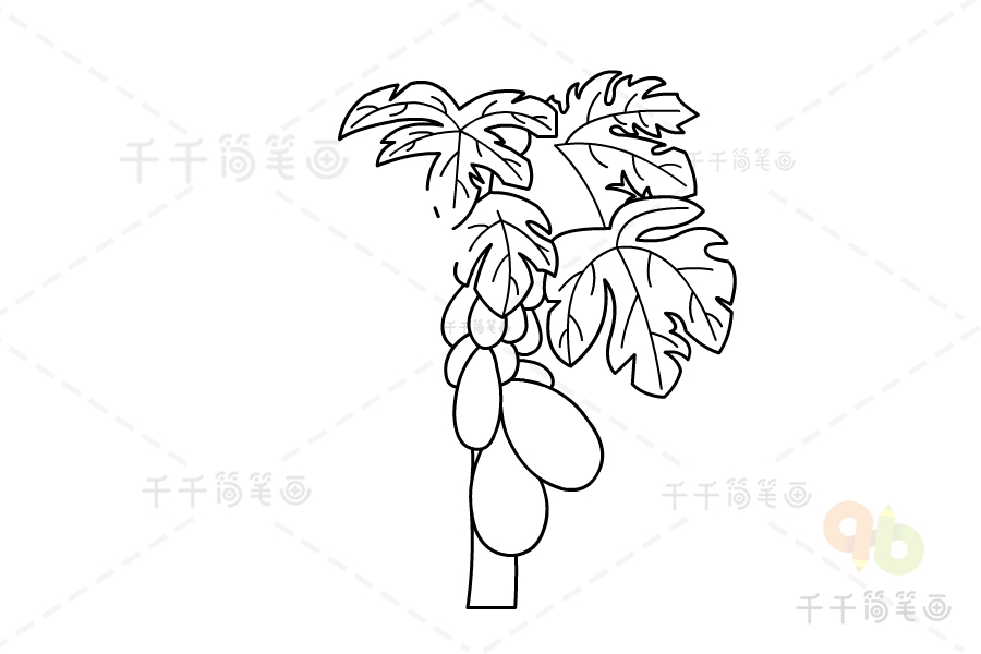 木瓜树简笔画