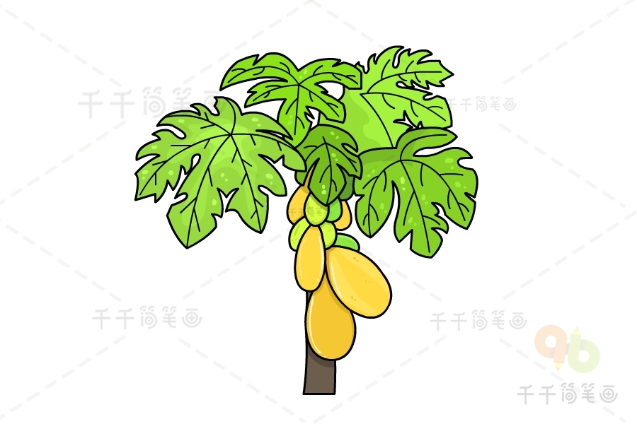 木瓜树简笔画图片彩色图片