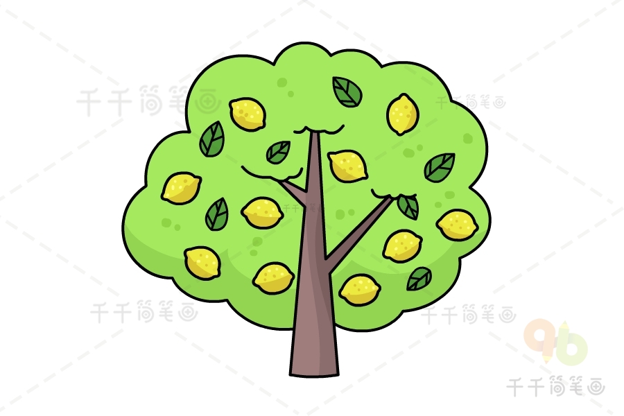 柠檬树画法图片
