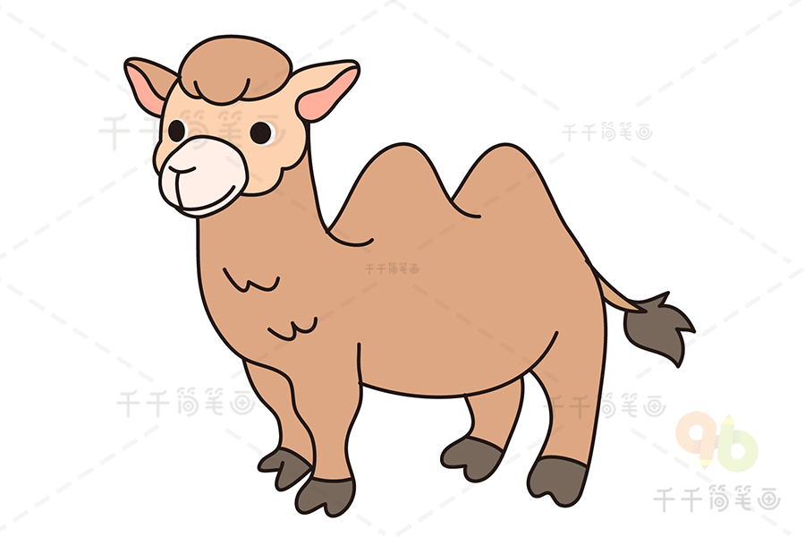 零基础动物简笔画学画骆驼