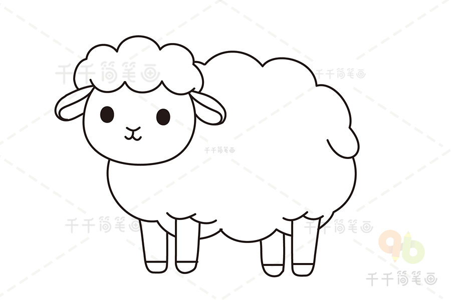 可爱的绵羊简笔画步骤图