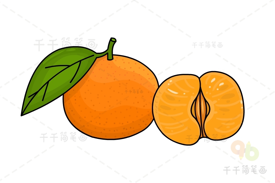 砂糖橘简笔画图片图片