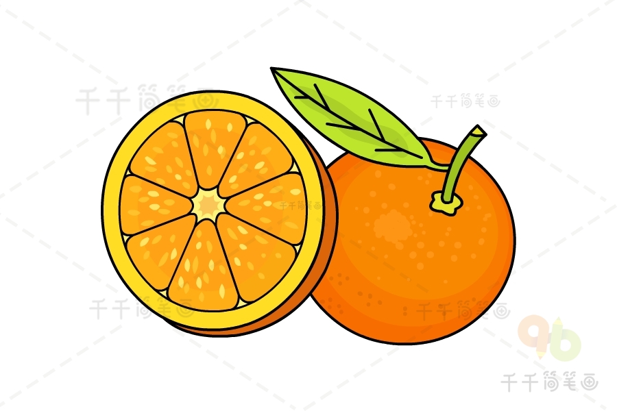 柑橘简笔画图片大全图片