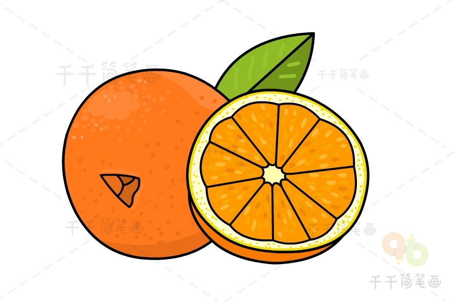脐橙简笔画图片