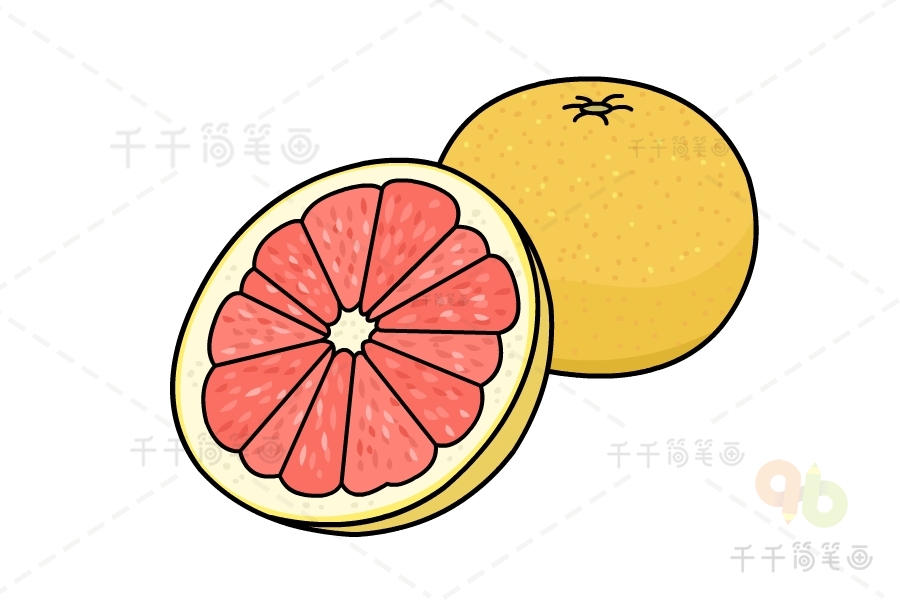 柚子的画法简笔画图片图片
