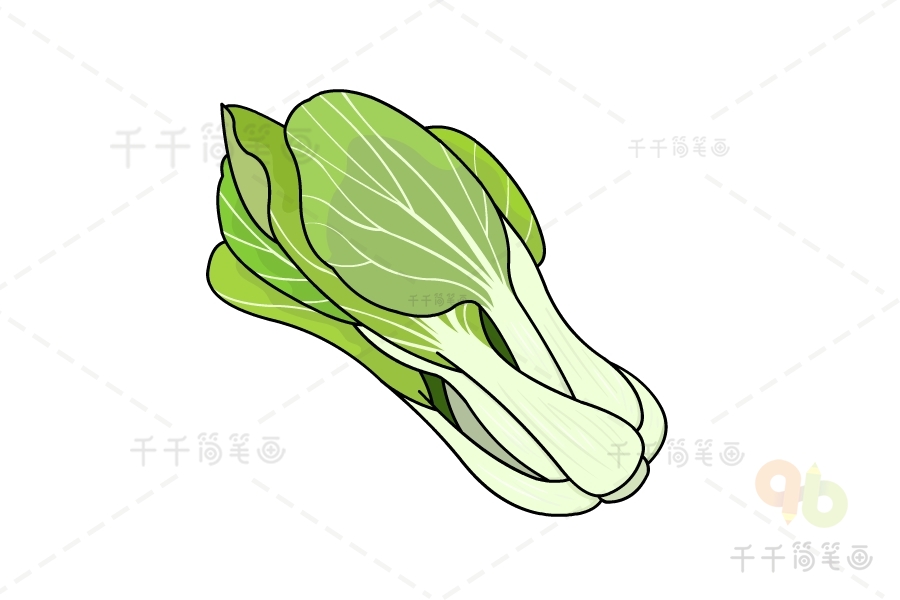 青菜种子简笔画图片