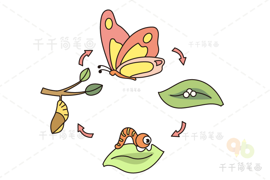 小学语文课文配画 毛毛虫化茧成蝶的过程