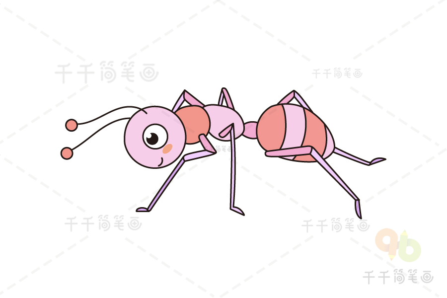 奇妙的昆虫 蚂蚁界的军人行军蚁