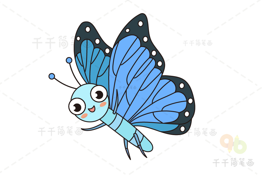 长着蓝色翅膀的蓝色大闪蝶 小朋友认识昆虫