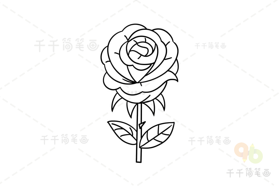 一支漂亮的玫瑰花的简笔画图片