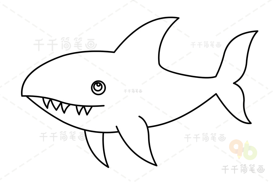 简笔画鲨鱼的画法步骤图解