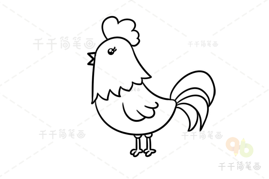公鸡的尾巴简笔画图片